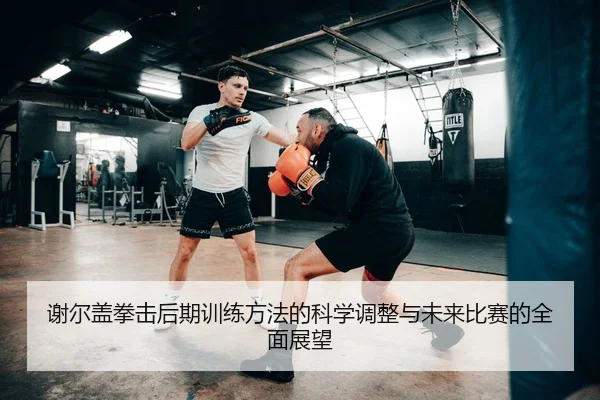 谢尔盖拳击后期训练方法的科学调整与未来比赛的全面展望